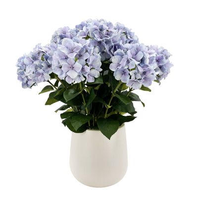 Potted Lilac Hydrangea x 15 Stems in a Ceramic Pot - 71cm