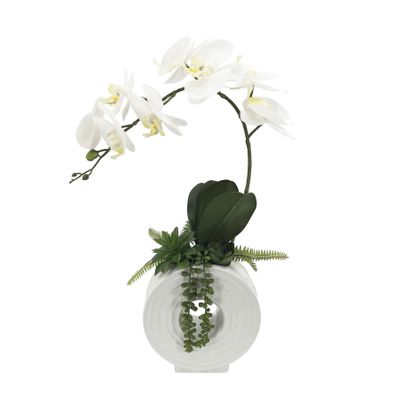 Potted White Orchid Stem in a Ceramic Circle Pot - 53cm