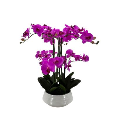 Potted Fuchsia Orchid x 6 Stems in a Ceramic Pot - 64cm