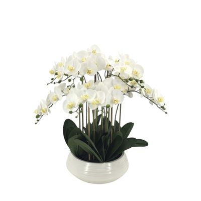 Potted White Orchid x 9 Stems in a Ceramic Bowl - 70cm