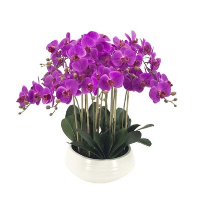 Potted Fuchsia Orchid x 9 Stems in a Ceramic Bowl - 70cm
