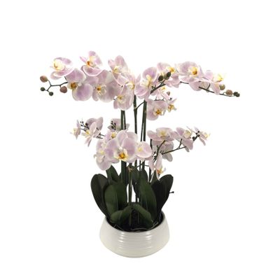 Potted Light Pink Orchid x 6 Stems in a Ceramic Pot - 64cm