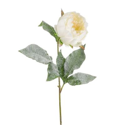 Single Peony White Snow Finish