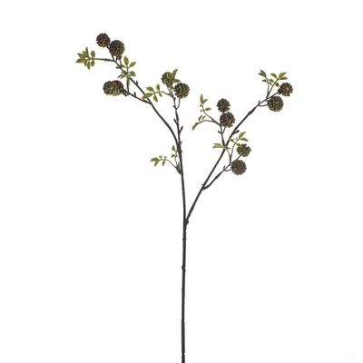 Mulberry Spray Green 65Cm