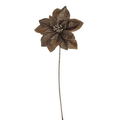 Poinsettia Single Gold 63Cm