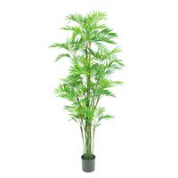 Parlour Palm Tree Potted  - Green - 6Ft