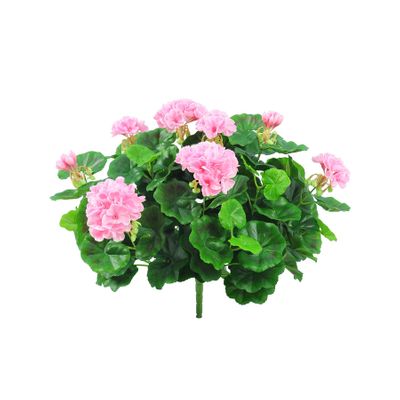 Geranium Bush Pink