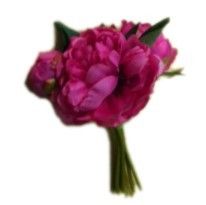 9" Peony Bunch Hot Pink.