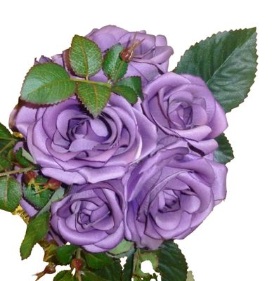 Rose Bunch x7 Purple