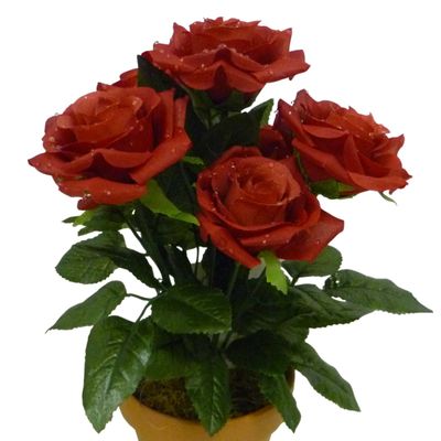 Red Raindrop Rose Bush