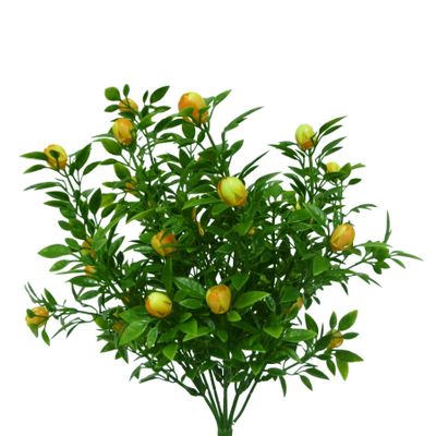 Rose Bud Bush x7 Orange
