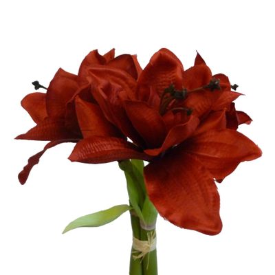 28cm Amaryllis Bundle Red