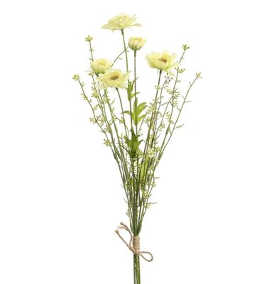 54cm Daisy/Grass x5 Bundle Cream