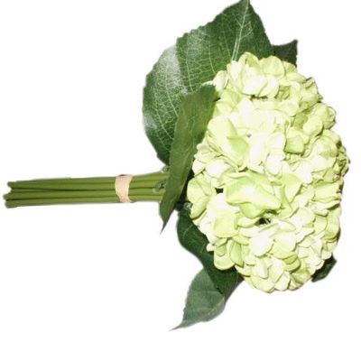 Hydrangea Bundle Lime Green