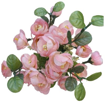 Mini Ranunculus Bush x7 Pink