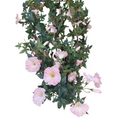 100cm Morning Glory Hanging Bush