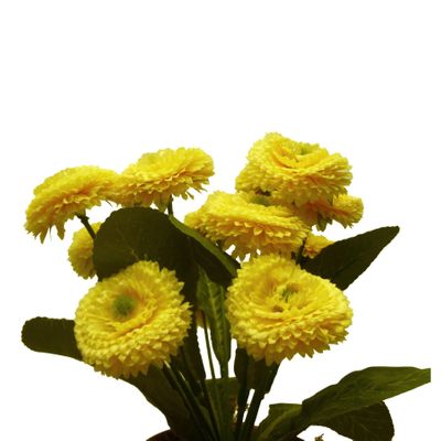 24cm Bellis Bush Yellow