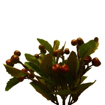 21cm Berry Bush x7 Red