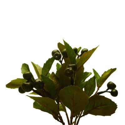 21cm Berry Bush x7 Black