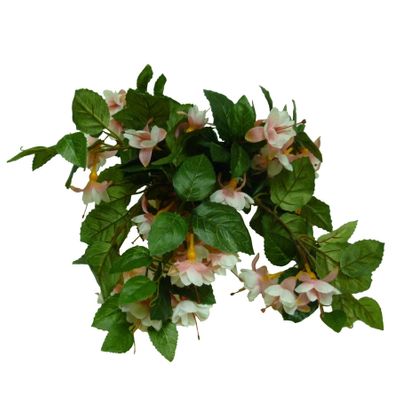 Hanging Fuchsia Bush Pink