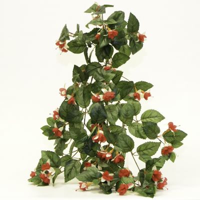 Fuchsia Hanging Bush Red/Cream