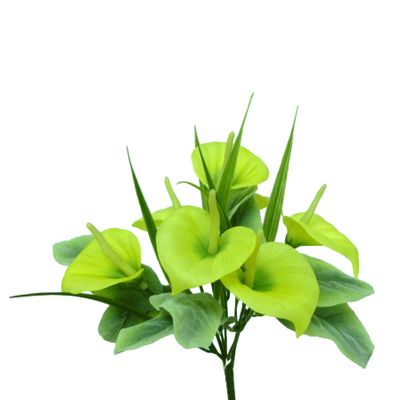 Cala Lily Bush x6 Yellow