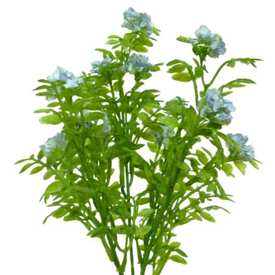 34cm Berry Bush Lavender