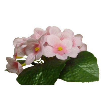 20cm Violet Bush Pink