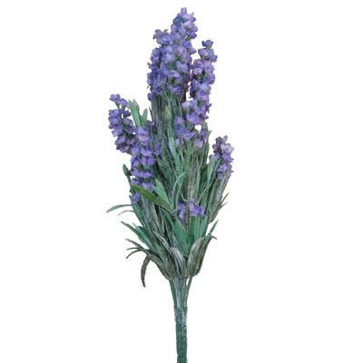 Lavender Bush x12 Purple
