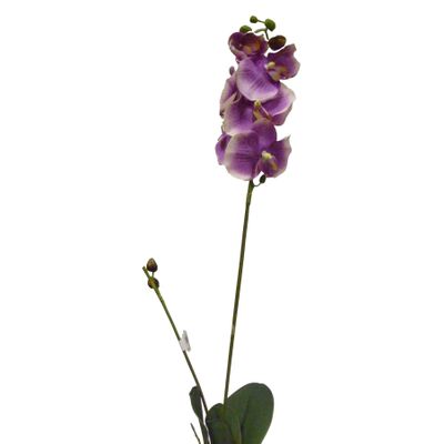 Orchid Spray w Lvs Purple