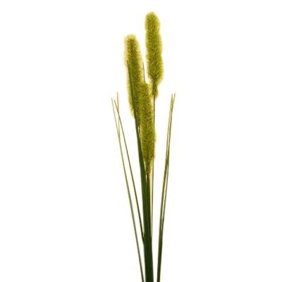 Foxtail Spray w Grass Dk Green