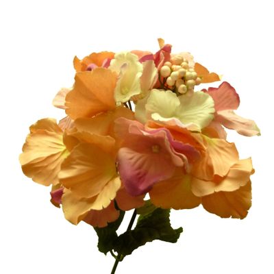 Pink Hydrangea