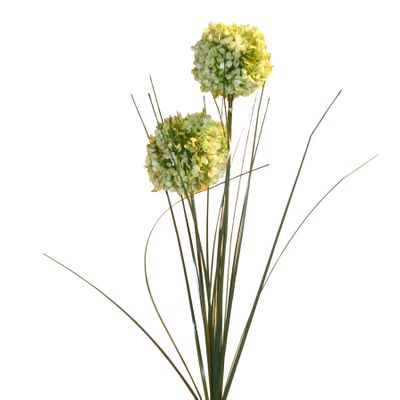 68cm Allium x2 Green