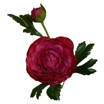 Beauty Ranunculus Spray
