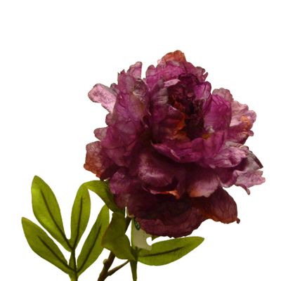 27" Peony Fuchsia