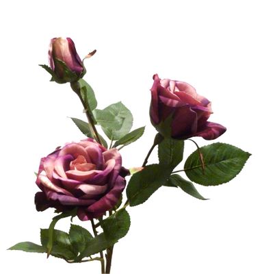 32"Purple Hilary Rose Spray