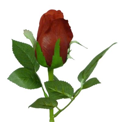15" Brilliant Rosebud Red