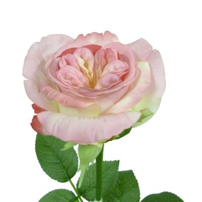 26.5" Jeanne Rose W/Leaves Pink