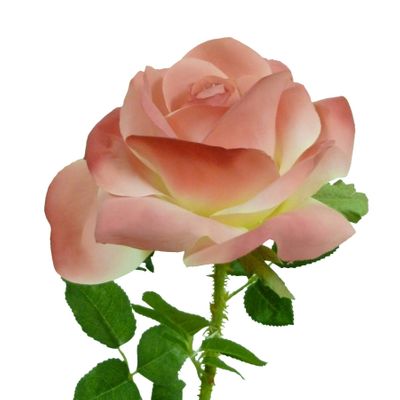 54cm Single Rose Pink