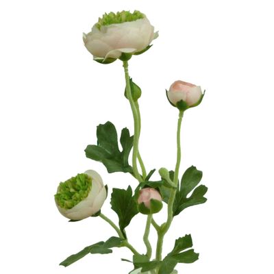 20" Ranunculus Spray Pink