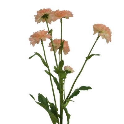 25" Mum Spray x5 Pink