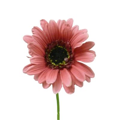 35cm Gerbera Hot Pink