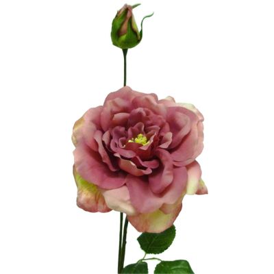 66cm Rose x2 Hot Pink
