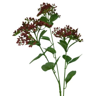 69cm Achillea Spray Red