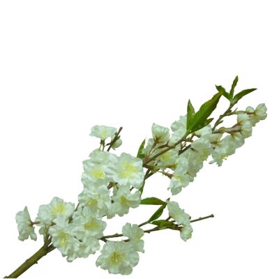 58cm Cherry Blossom Cream