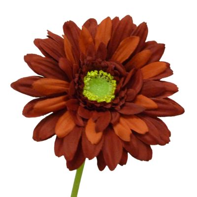 45cm Gerbera Red
