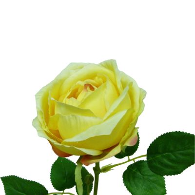 63cm Rose Yellow