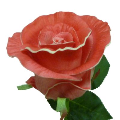 39cm Single Rose Hot Pink