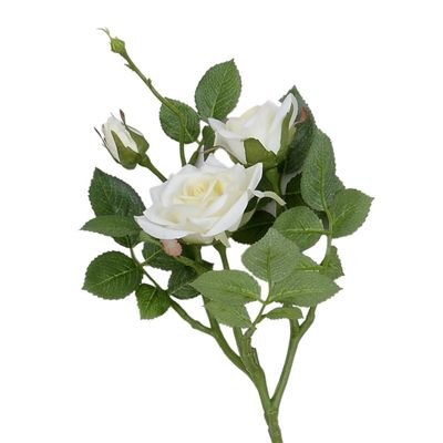 64cm Jade Royal Rose x3 Cream