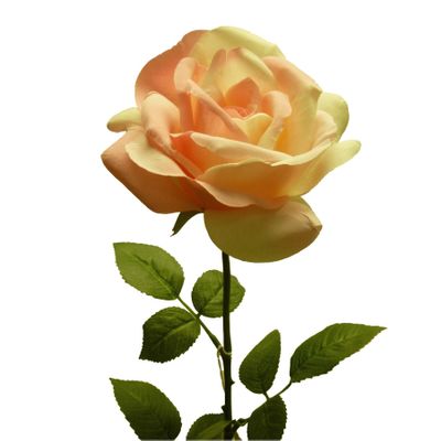28" Cinnamon Rose Pink